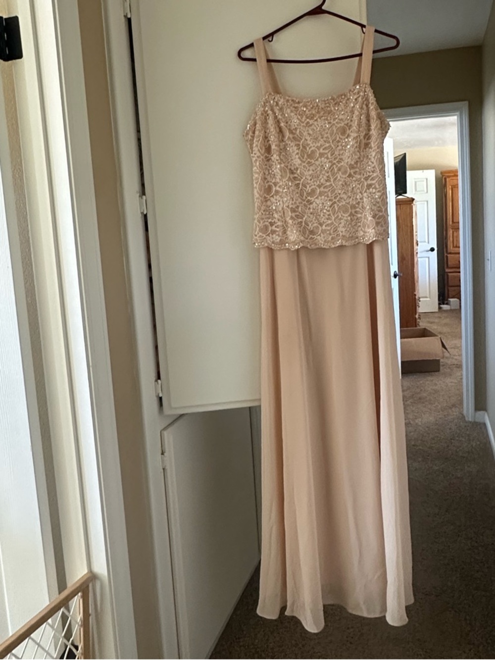 Elegant Blush Lace Evening Dress - Picture 6 of 6